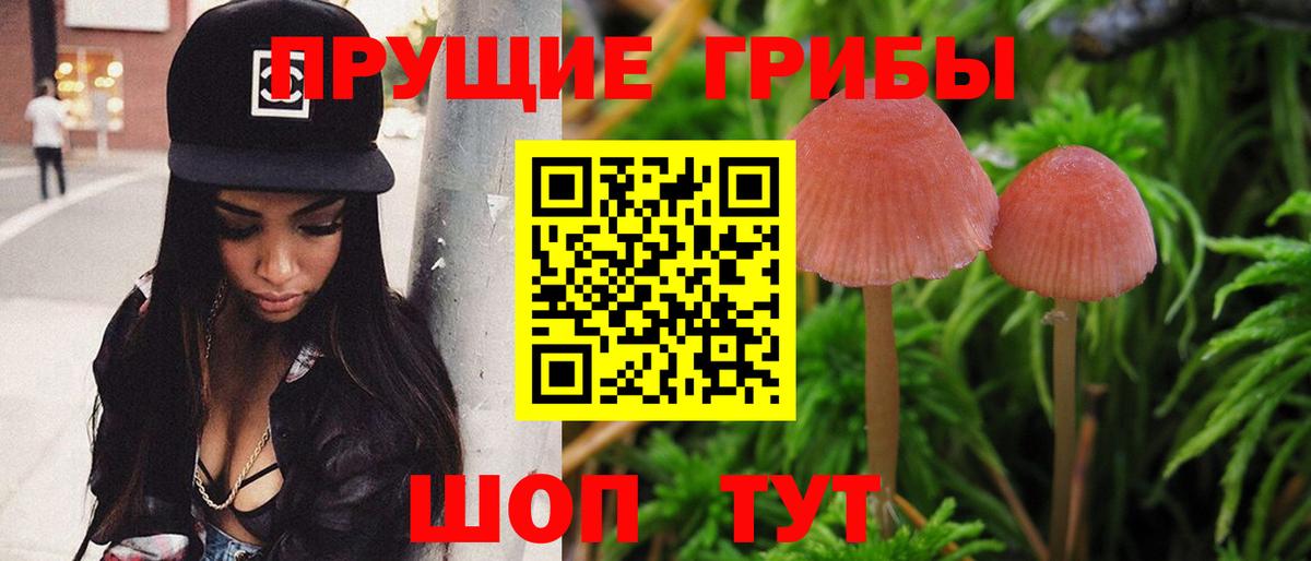 Галлюциногенные грибы Magic Shrooms  как найти   Белогорск  Вход с VPN  Галлюциногенные грибы мухоморы 