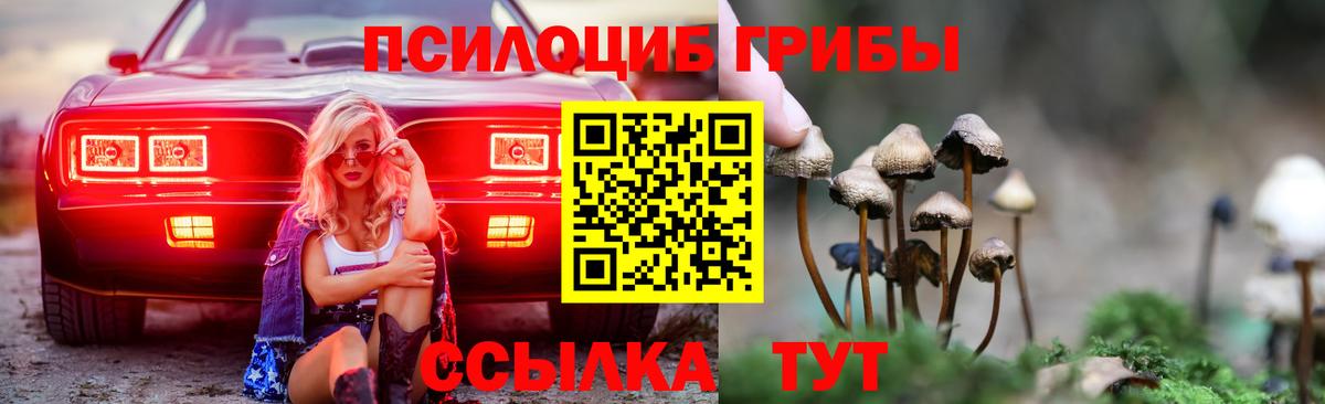 Галлюциногенные грибы Magic Shrooms Белогорск